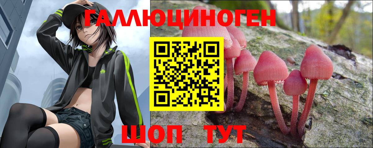Миасс  Галлюциногенные грибы MAGIC MUSHROOMS  Псилоцибиновые грибы мицелий  Вход с VPN 