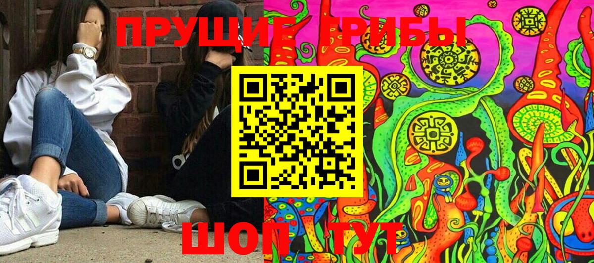 Галлюциногенные грибы Psilocybine cubensis Миасс